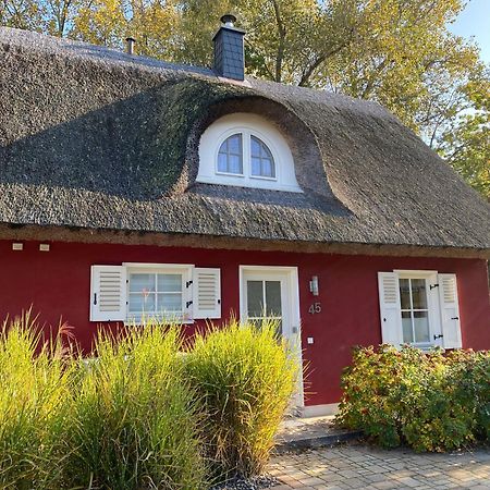 Ferienhaus Stella Глове Экстерьер фото